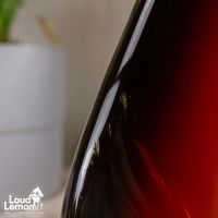 Fender JG66 Jaguar Sunburst 1999 Japan электрогитара