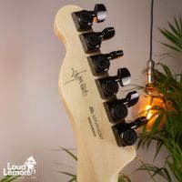 Fender Jim Root Telecaster Flat White 2019 Mexico электрогитара