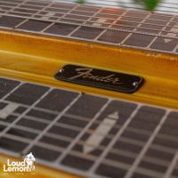 Fender Dual Lapsteel Guitar 60's USA