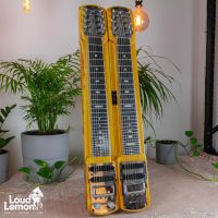 Fender Dual Lapsteel Guitar 60's USA