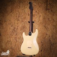 Fender Limited Edition American Professional Stratocaster Solid Rosewood Neck Desert Sand 2020 USA электрогитара