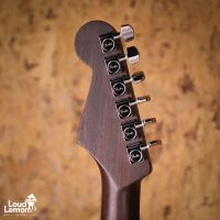 Fender Limited Edition American Professional Stratocaster Solid Rosewood Neck Desert Sand 2020 USA электрогитара