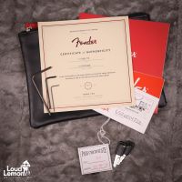 Fender Limited Edition American Professional Stratocaster w/ Roasted Maple Neck Sonic Blue 2020 USA электрогитара