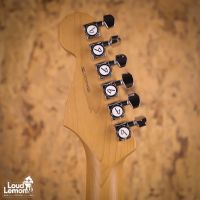 Fender Limited Edition American Professional Stratocaster w/ Roasted Maple Neck Sonic Blue 2020 USA электрогитара