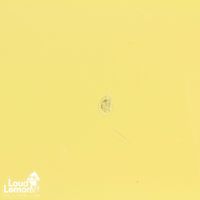 Fender MG69-65 Mustang Yellow White 1999 Japan электрогитара