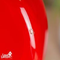 Fender Squier Series Standard Stratocaster Torino Red 1995 Mexico