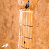 Fender Standard Stratocaster Brown Sunburst 2011 Mexico электрогитара