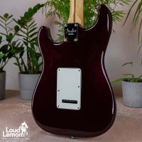 Fender Standard Stratocaster HSS Midnight Wine 2012 Mexico электрогитара
