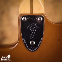 Fender Stratocaster Mocha 1975 USA электрогитара