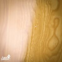 Fender TL72-58 Telecaster Natural 1993 Japan электрогитара