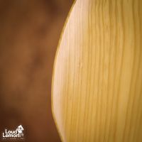 Fender TL72-58 Telecaster Natural 1993 Japan электрогитара