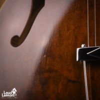 Gibson ES-150DC Walnut 1969 USA электрогитара