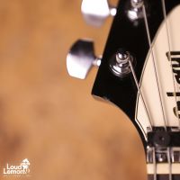 Gibson Flying V Factor X Ebony 2005 USA электрогитара