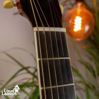 Gibson L3 Sunburst 1916 USA акустическая гитара