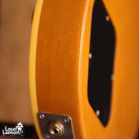Gibson Les Paul Standard Bullion Gold 2001 USA электрогитара
