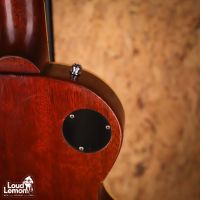 Gibson Les Paul Standard Honey Burst 2002 USA электрогитара