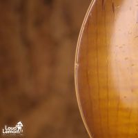 Gibson Les Paul Standard Honey Burst 2002 USA электрогитара