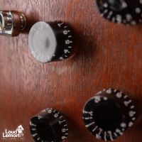 Gibson Les Paul Studio Faded Worn Brown 2010 USA электрогитара