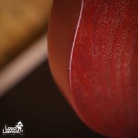 Gibson Les Paul Studio Faded Worn Cherry 2010 USA электрогитара