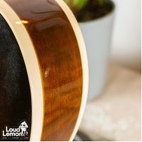 Gibson Memphis Dot ES-335 Vintage Sunburst 2002 USA электрогитара