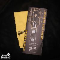 Gibson Montana Hummingbird Sustainable Antique Natural 2019 USA электроакустическая гитара