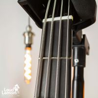 Gibson Thunderbird IV Vintage Sunburst 2002 USA бас-гитара