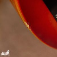 Greco EG-480R Les Paul Red Sunburst 1975 Japan электрогитара