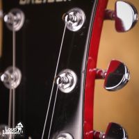 Gretsch 6119 Tennessee Rose Deep Cherry Stain 1998 Japan электрогитара