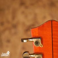 Gretsch 6120W Nashville Western Orange Stain 1995 Japan электрогитара