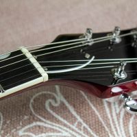 Gretsch G6119 Tennessee Rose 2010 Japan электрогитара