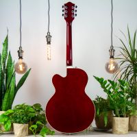 Gretsch G6119 Tennessee Rose 2010 Japan электрогитара