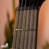 Hamer XT Series SATF Sunburst Archtop Flametop Honeyburst 2010's Indonesia электрогитара