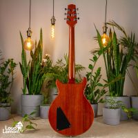 Hamer XT Series SATF Sunburst Archtop Flametop Honeyburst 2010's Indonesia электрогитара
