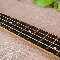 History (CoolZ) SZJ-1 Jazz Bass Sunburst 2005 Japan бас-гитара
