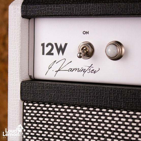 I.Kamintsev 12W Hand-wired White Custom ламповый усилитель для электрогитары