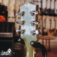 Gretsch Custom Shop G6118T Double Anniversary Aged Smoke Two Tone Green 2007 USA электрогитара