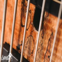 Sadowsky 5-String Fretless Bass Custom 2002 Natural безладовая бас-гитара