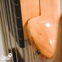 Sadowsky 5-String Fretless Bass Custom 2002 Natural безладовая бас-гитара