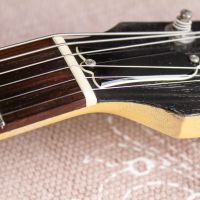 Gibson Les Paul Special Double Cutaway TV Yellow Faded 2005 USA электрогитара