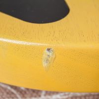 Gibson Les Paul Special Double Cutaway TV Yellow Faded 2005 USA электрогитара