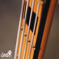 Heerby Custom Bass 1975 Sunburst бас-гитара