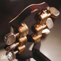 Gretsch Chet Atkins Country Gentleman Walnut 1964 USA электрогитара