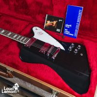 Gibson Firebird Ebony 2018 USA электрогитара
