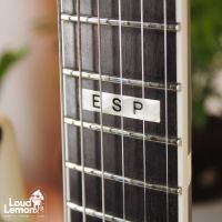 ESP M-II Urban Camo 2006 Japan электрогитара