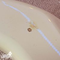 Fender Precision Bass Custom Order White 1994 Japan бас-гитара