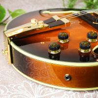 Ibanez George Benson GB10 Brown Sunburst 2008 Japan электрогитара