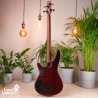 Ibanez SHR500F Natural Browned Burst Flat 2018 Indonesia безладовая бас-гитара