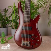 Ibanez SR505 BM Brown Mahogany 2010 Indonesia бас-гитара