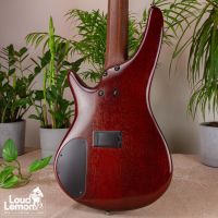 Ibanez SR505 BM Brown Mahogany 2010 Indonesia бас-гитара