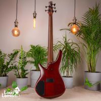 Ibanez SR505 BM Brown Mahogany 2010 Indonesia бас-гитара